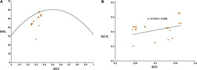 Base Composition and Host Adaptation of the SARS-CoV-2: Insight From the Codon Usage Perspective